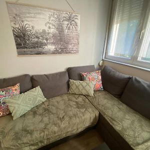 Studio Appartement